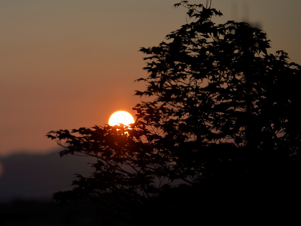 夕日