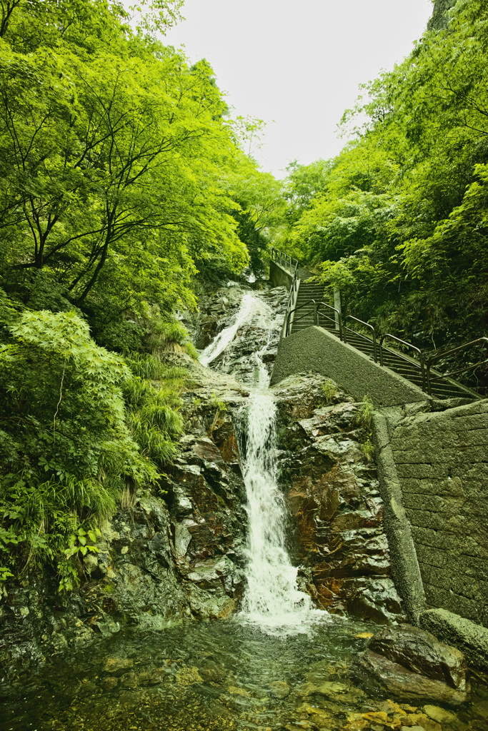 梅雨の滝訪問１