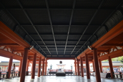 厳島神社　天井