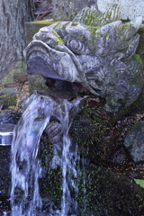 滝めぐり３ 神社にて