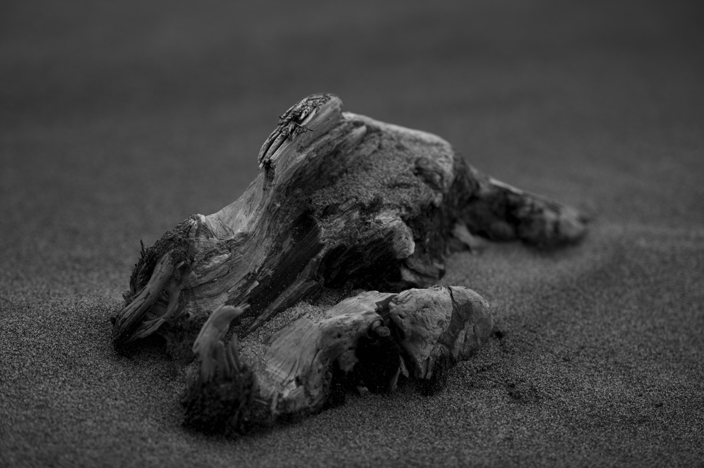 海４