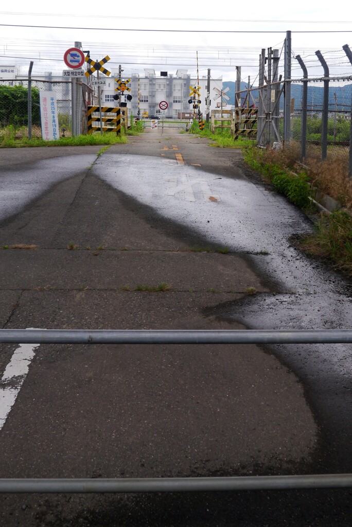 踏切巡り2クール目終了2