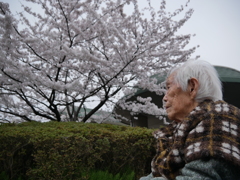 桜と103歳