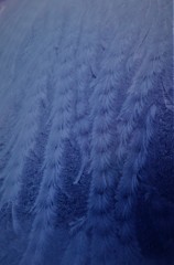 氷結