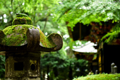 瑞鳳殿（仙台）
