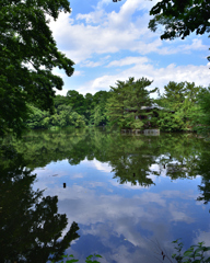 石神井公園（リフレクション）②