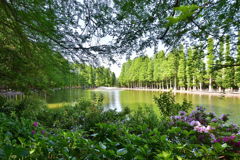 別所沼公園