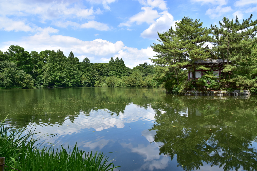 石神井公園（リフレクション）①