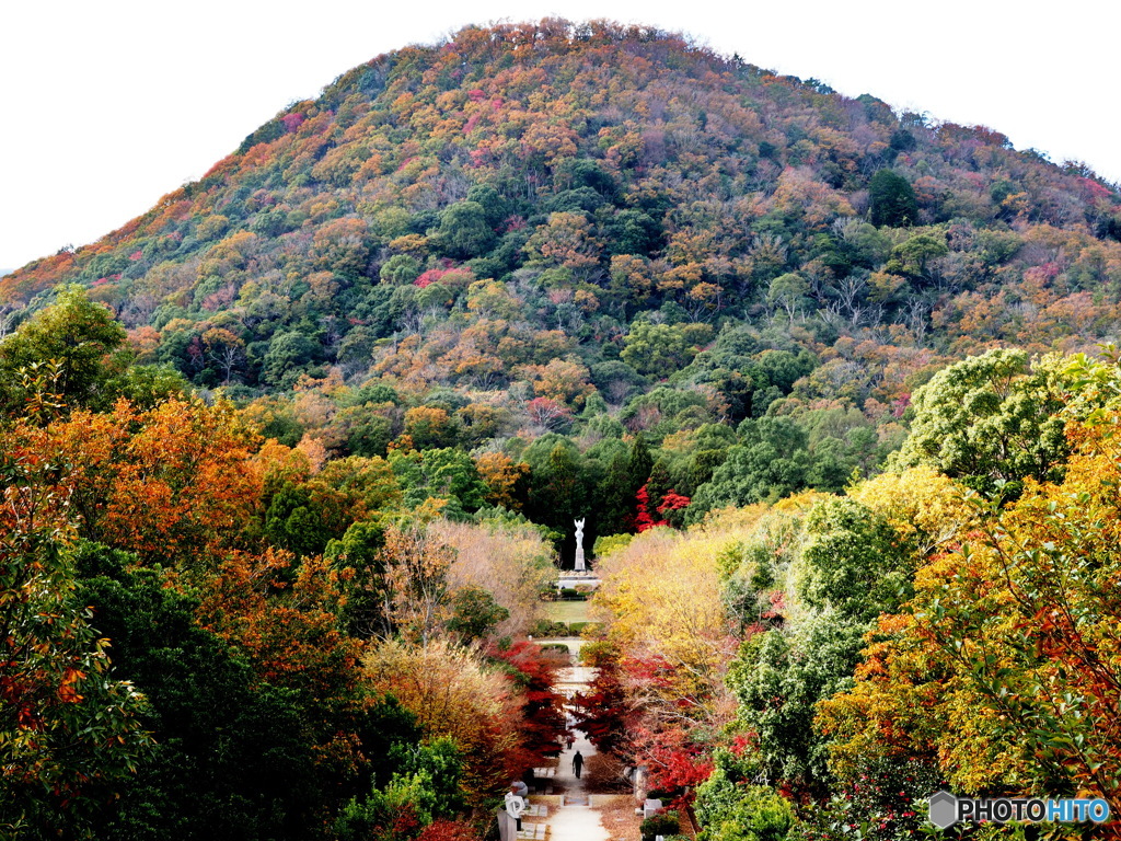 甲(かぶとやま)山