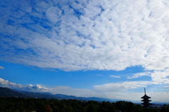興福寺　秋景