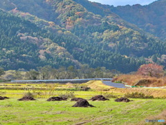 里山