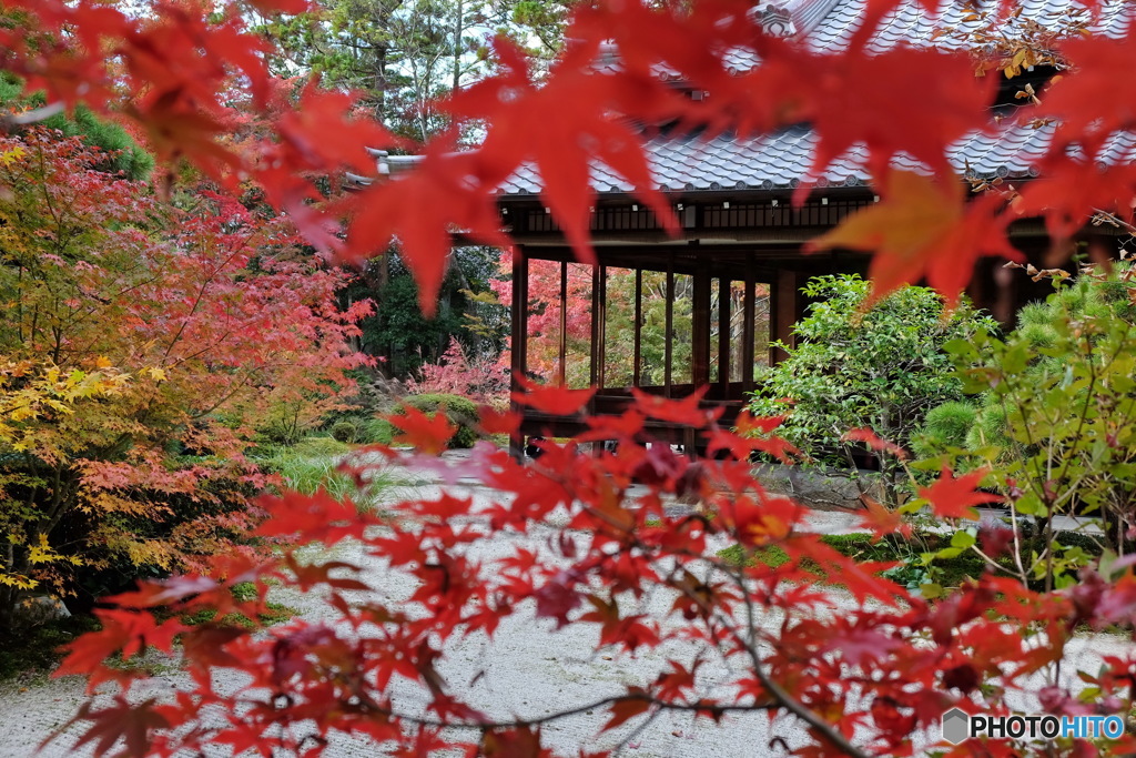 南禅寺　天授庵