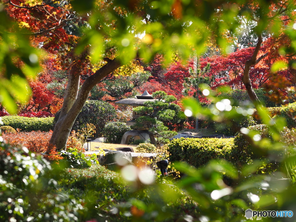 日本庭園