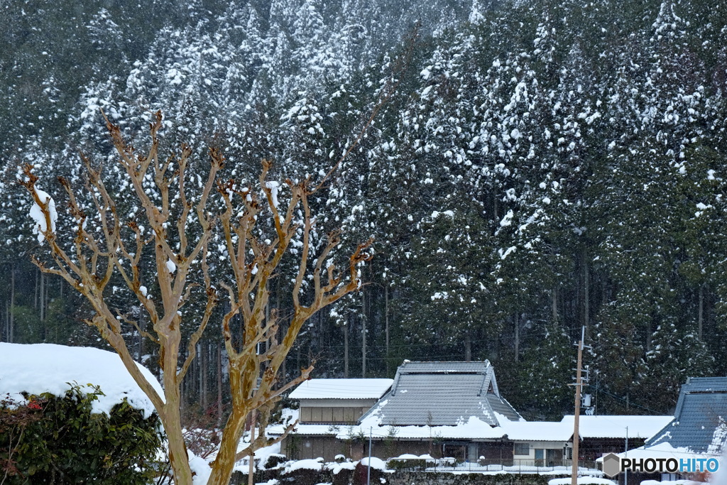 京都大原冬景色