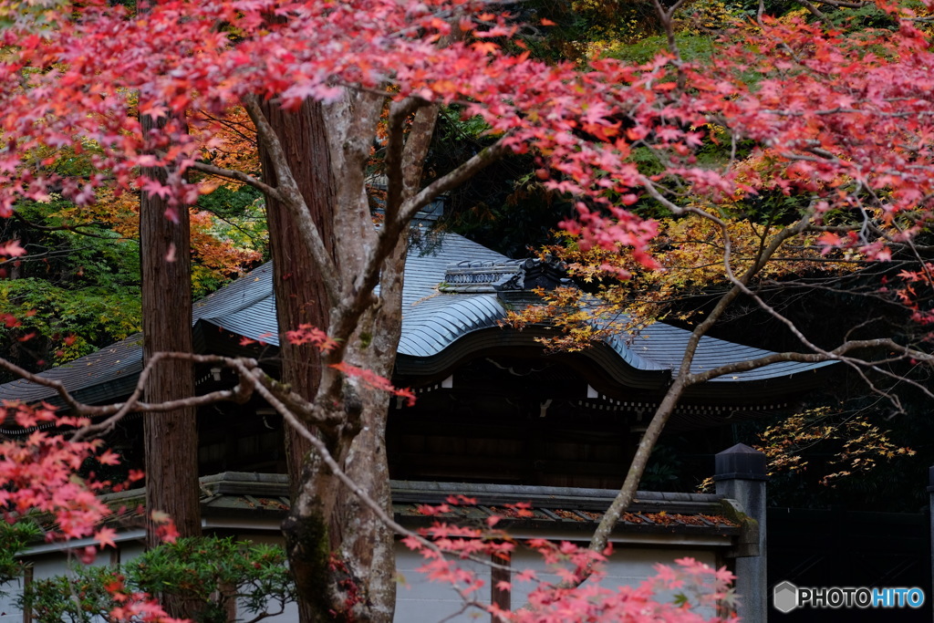 南禅院