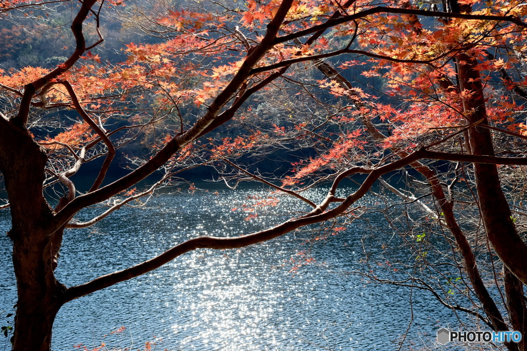 暫し湖面に思う