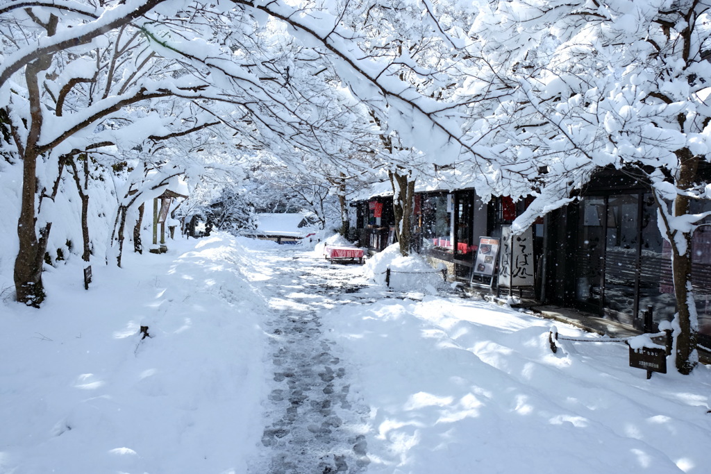 三千院門前の雪景色