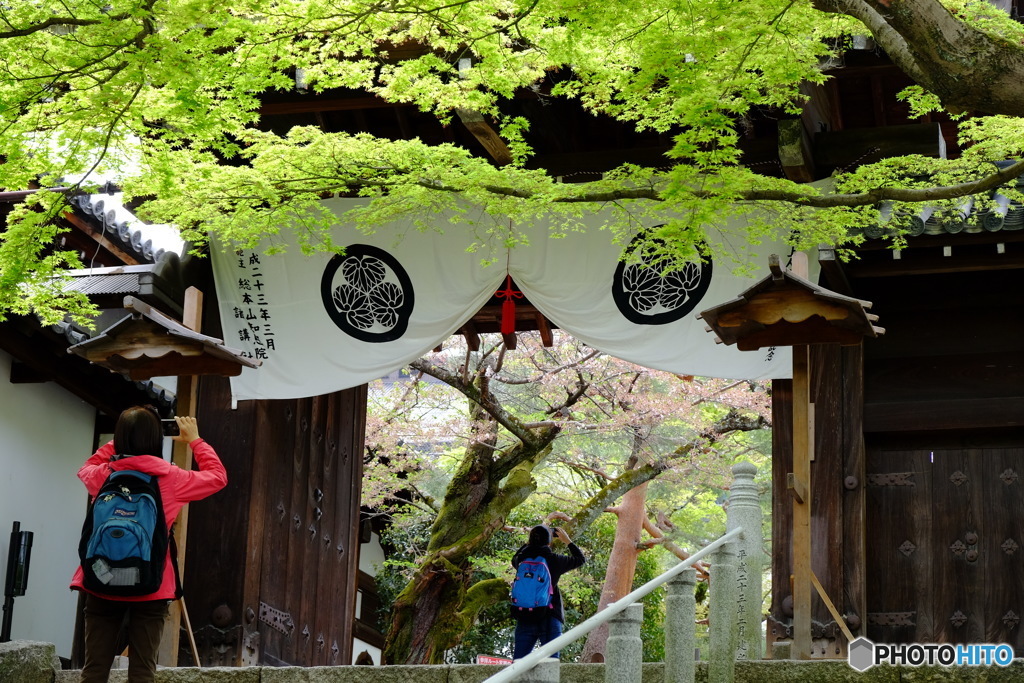 ベストショット？