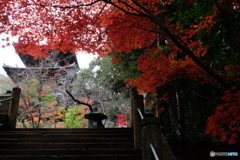 法華山 一乗寺