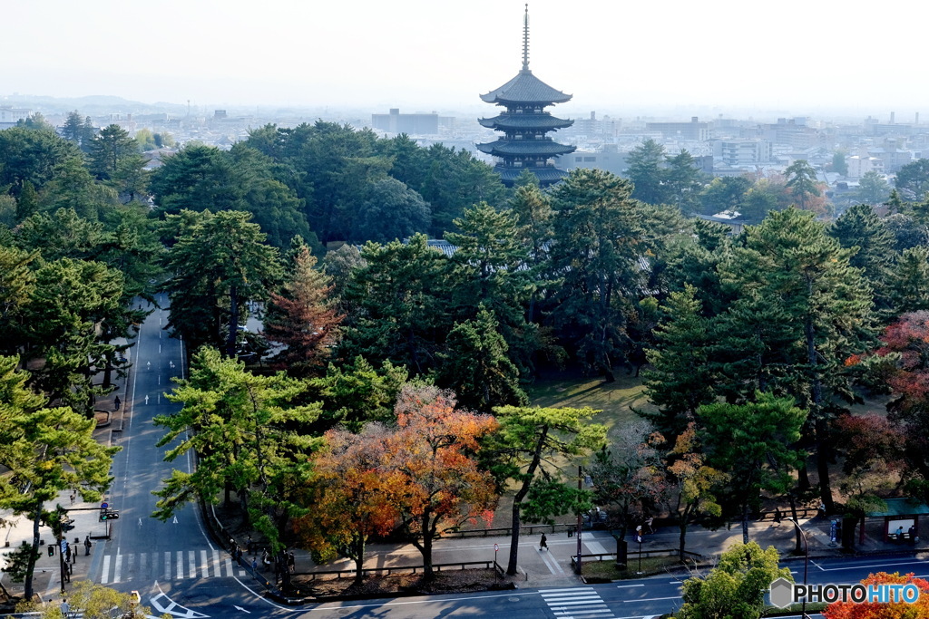 興福寺と奈良市街