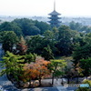 興福寺と奈良市街