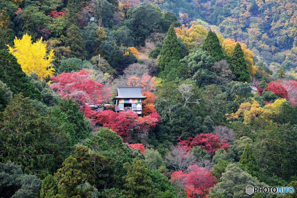 大斐閣千光寺