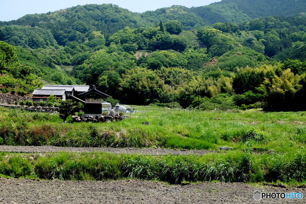 新緑の里山