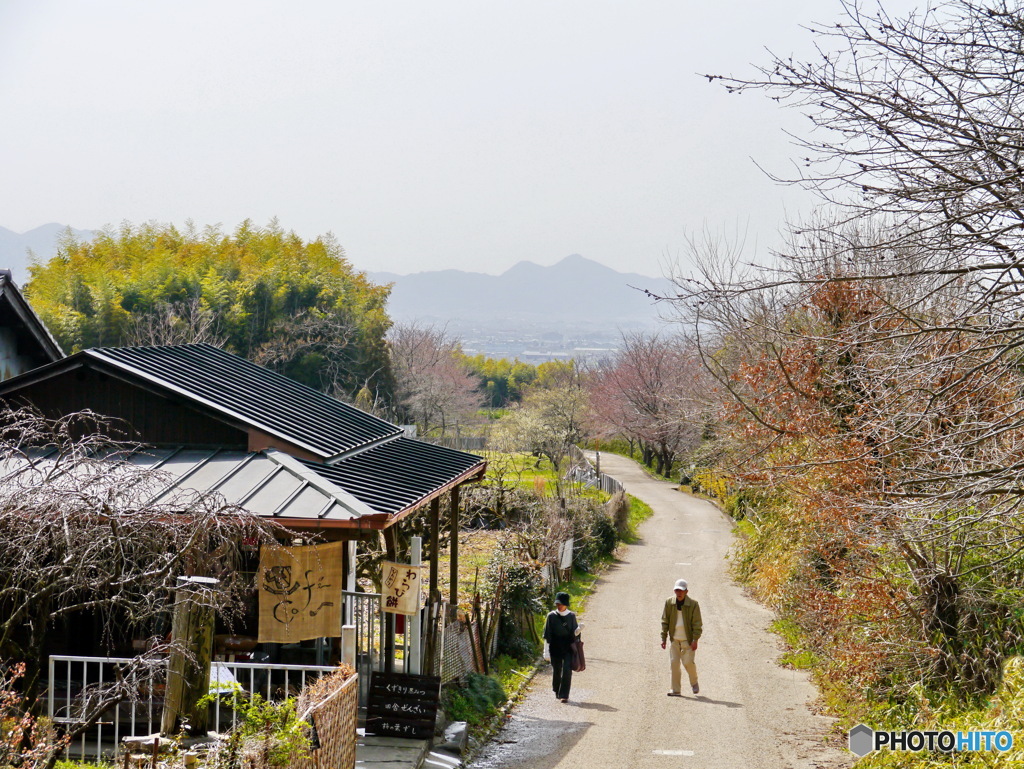 山の辺の道