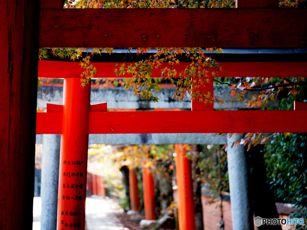 赤鳥居