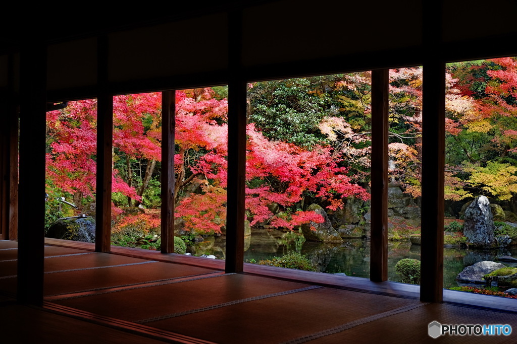 秋の庭園