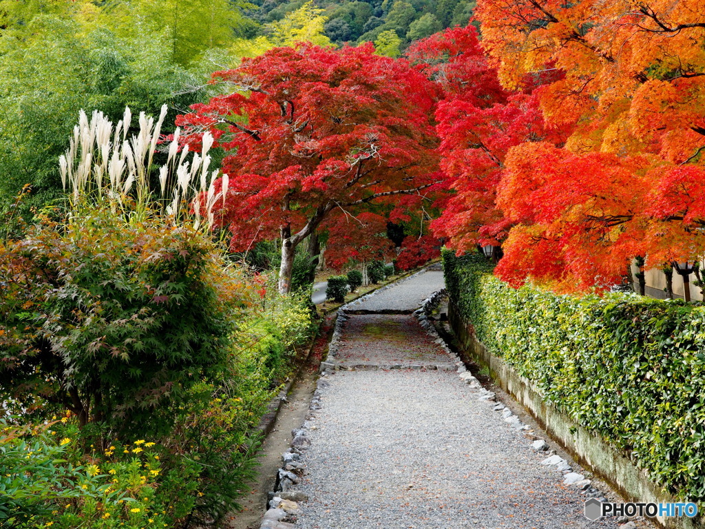 参道