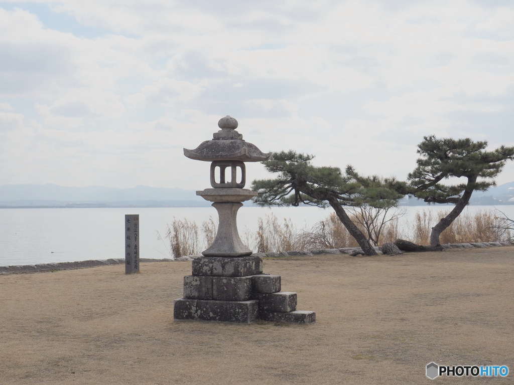 唐崎の松