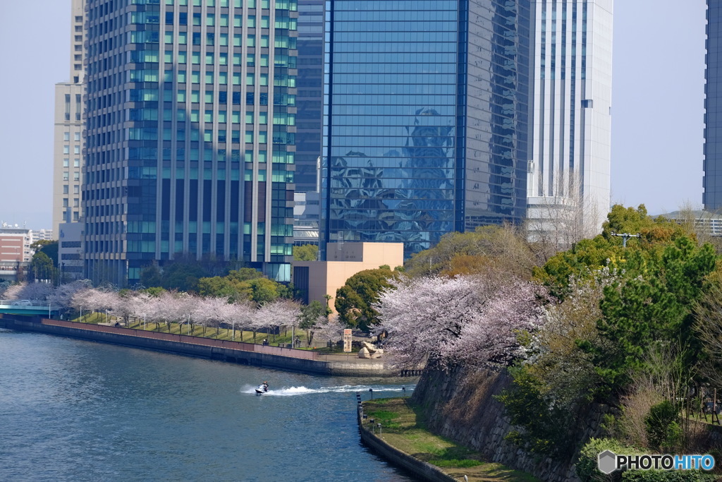 水ぬるむ