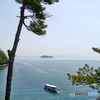 琵琶湖と竹生島