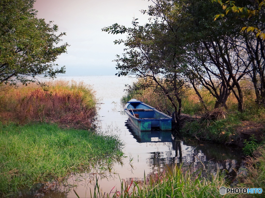 湖畔の風景