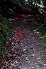 花道