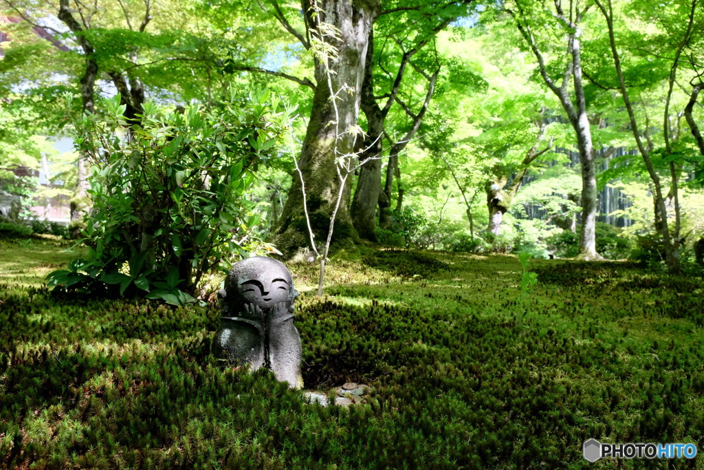 木漏れ日地蔵