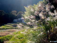 初秋の山村