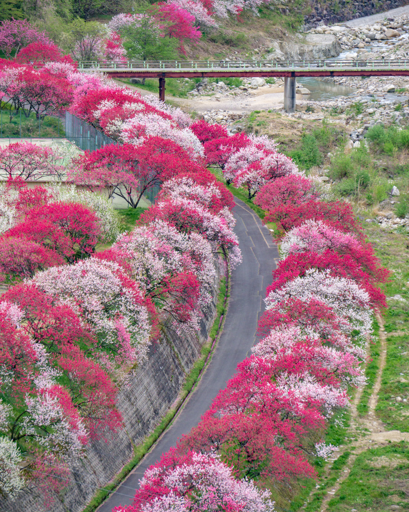 桃源郷