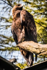 IMG_4340-3