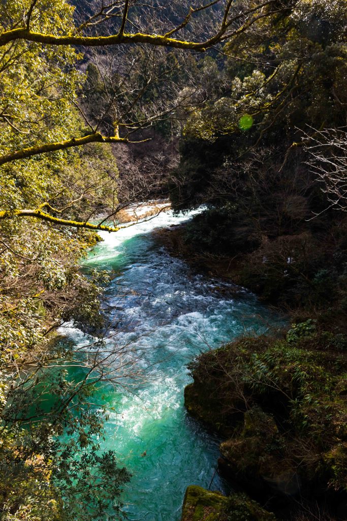 こおろぎ橋からの