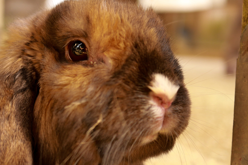 カメラに興味津々