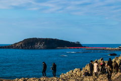 東尋坊からの雄島