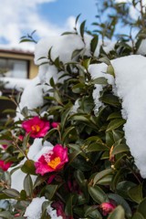 一瞬の晴れ間②