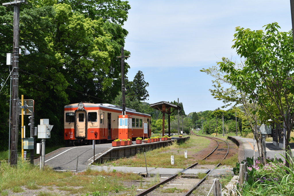 ローカルな旅