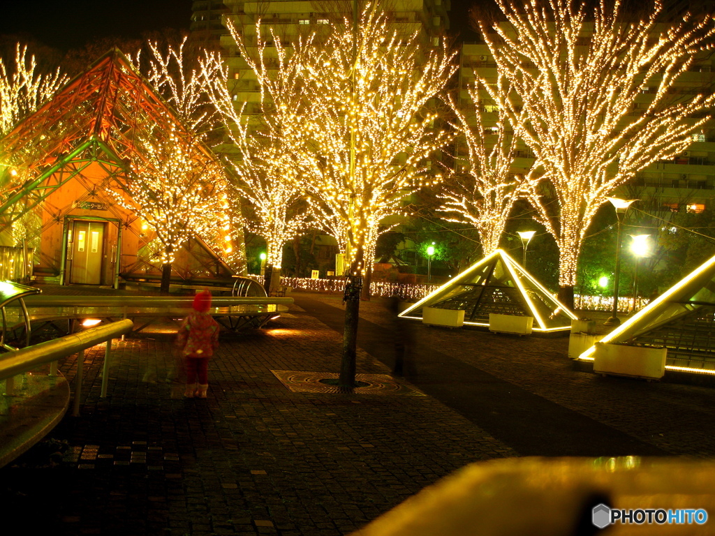 川口のイルミネーション