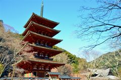 桜が咲いてれば完璧なのに…
