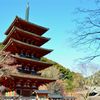 桜が咲いてれば完璧なのに…