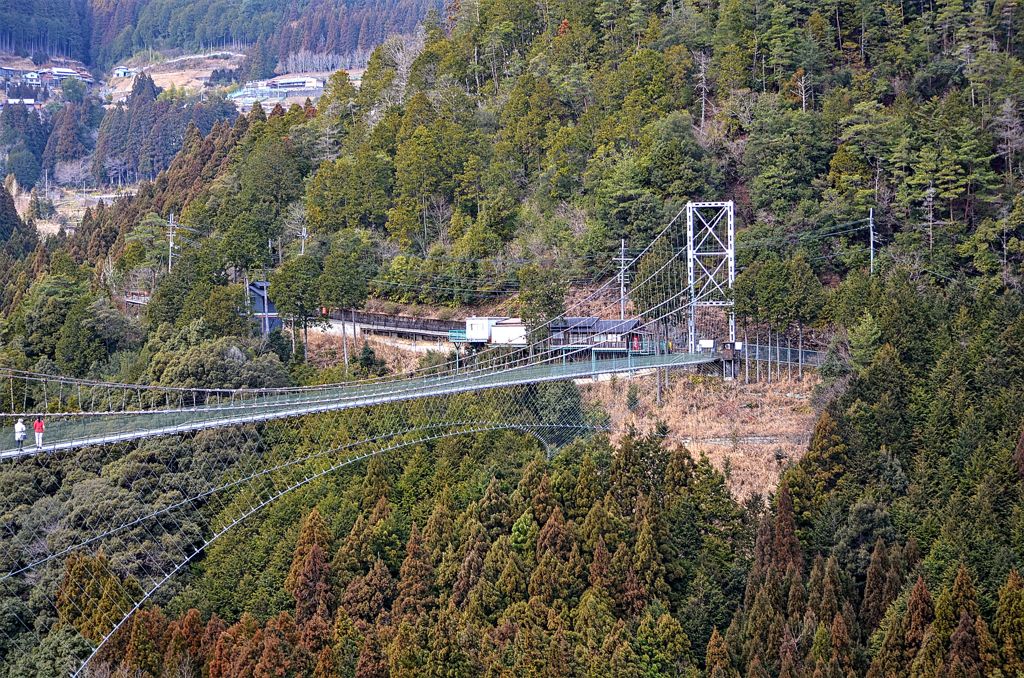 吊り橋(怖くて渡れませんでした)