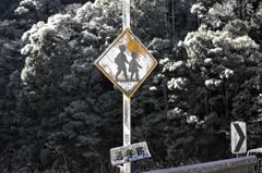 今も通学路なんだろうか